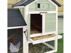 Discount Sweeek Gallinero de madera con corral para 3 gallinas Verde