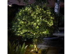 Smart garden products Guirnalda solar exterior LUCI200 LED blanco cálido - 21,9m