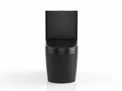 Hot Vente-unique Inodoro de cerámica mate con tapa silenciosa, NAGILAM Negro