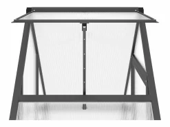 Hot Invernadero de tienda para plantas flores y verduras con estructura de base 169 x 58 x 195 cm aluminio antracita 02_0044492 Invernadero De Jardín