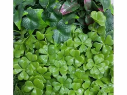 NORTENE Jardin vertical costa 100 x 100 cm 1 X 2M