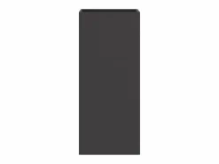 Hot Clicnbuy Jardinera de acero laminado en frío 32x27,5x75 cm Negro