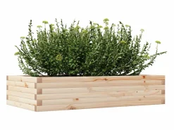 Online Jardinera de madera maciza de pino 110x60x23 cm Jardinera