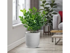 Sale Jarrón cilíndrico de resina Raffaello Bianco de 35x34 cm para plantas de interior y exterior Blanco
