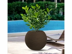 Jarrón de resina con diseño de esfera redonda Botticelli Marrone para plantas de interior y exterior, diámetro 40 x 33 h