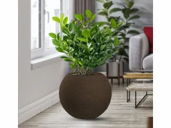 Jarrón de resina con diseño de esfera redonda Botticelli Marrone para plantas de interior y exterior, diámetro 40 x 33 h