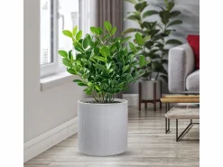 Best Jarrón de resina para plantas de interior y exterior, diseño cilíndrico redondo d.36x35h Modigliani Beige