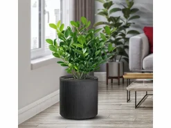 Jarrón de resina para plantas de interior y exterior, diseño cilíndrico redondo d.36x35h Modigliani