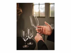 Hot Chef & Sommelier Juego de 6 Copas de Pie 45 cl Colección Evidence por Chef&Sommelier