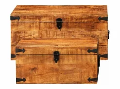 Discount Juego de cofres de almacenamiento 2 uds madera de mango rugosa Baúl Y Arcón
