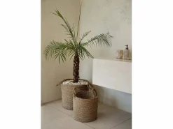 Hot La Cesta Sensity - Natural - XL Cesta