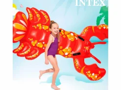 Outlet Langosta hinchable - Accesorio Piscina|Deportes Náuticos