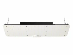Outlet Lámpara de Crecimiento LED SucceBuy 200 W, Diodos Samsung de Alto Rendimiento para Plantas de Interior, Plántulas, Vegetación y Floración, Cultivo en Invernadero Negro