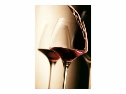 Hot Chef & Sommelier Lote de 6 Copas de Pie Soft Open Up 47 cl - Colección Open Up Transparente