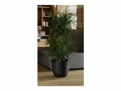 Clearance Maceta de 14,8 Ø 29,5 x 27,1 cm - Negra Macetero