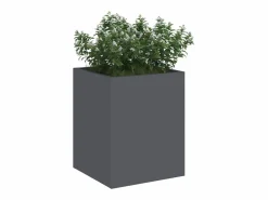 Best Maceta para Jardín | Jardinera | Macetero Antracita Acero laminado en frío Macetero