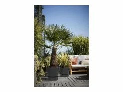 Clearance Maceta redonda 40 - Exterior Ø 39 x 36,8 cm - Living Macetero