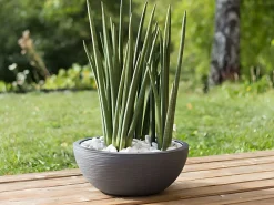 EDA Macetero Graphit Up Redondo de Plástico Ø 40 cm 14,9 L