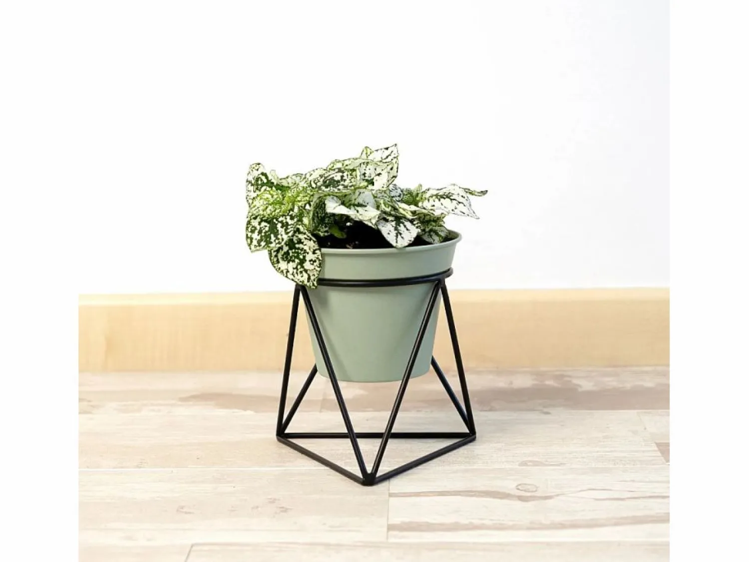 Clearance Macetero MOA Vinthera con base triangular claro 15x14,5x12,5 cm Verde