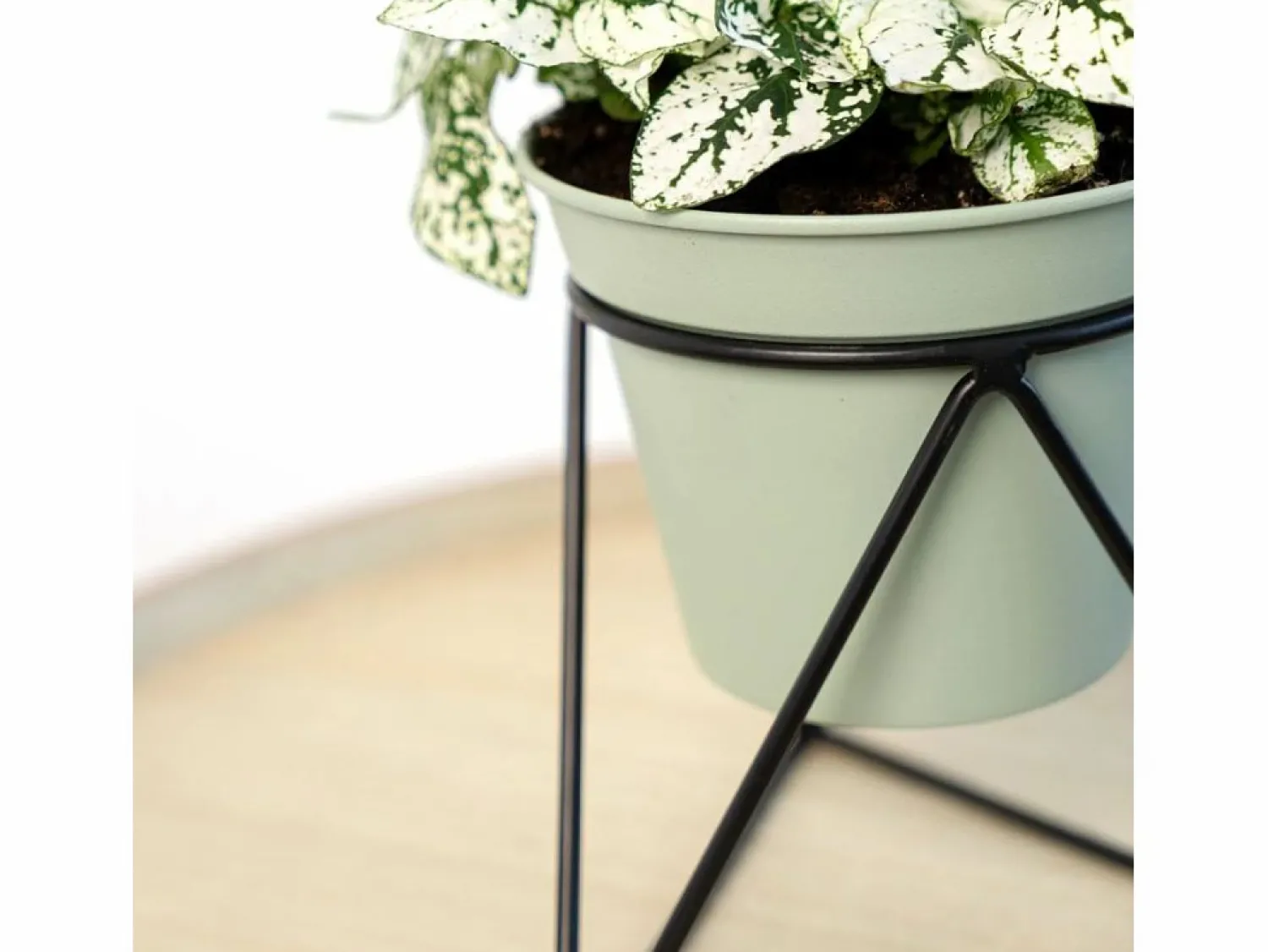 Clearance Macetero MOA Vinthera con base triangular claro 15x14,5x12,5 cm Verde
