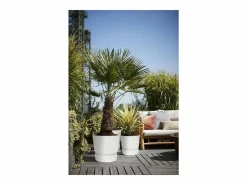 ELHO Macetero redondo 30 - Exterior Ø 29,5 x 27,8 cm -