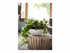 Outlet EDA Macetero redondo de plástico Graphit Up lima Ø 40 cm 14,9 L Blanco
