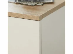 Online Sobuy Mesa Auxiliar Mesita de Noche con 1 cajón Mesa para salón Comedor 20 x 35 x 60 cm FBT111-WN ES Blanco