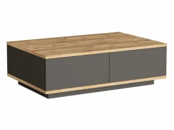 Outlet Mesa de centro con 2 puertas - Natural Claro y Antracita - LOTULA Mesa De Centro