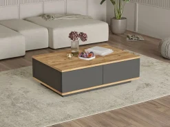 Outlet Mesa de centro con 2 puertas - Natural Claro y Antracita - LOTULA Mesa De Centro