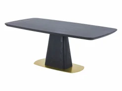 Discount Vente-unique Mesa de comedor para 8 personas con chapado de fresno y metal - y dorado - DYLORA Negro