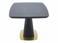 Discount Vente-unique Mesa de comedor para 8 personas con chapado de fresno y metal - y dorado - DYLORA Negro