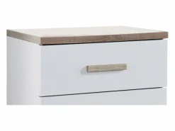 Vente-unique Mesita de noche con 2 cajones en color blanco y natural - SKAIDO