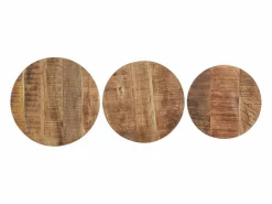 vidaxl Mesitas auxiliares 3 Piezas madera de mango rugosa