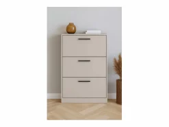 Clearance Meyvaser - Zapatero 3 Puertas, Zapatero Estrecho, Acabado en Color , Medidas: 108 cm (Alto) x 60 cm (Ancho) x 17 cm (Fondo) Zapatero|Mueble De Almacenaje