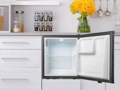 JETFROST Mini bar termoeléctrico - 38L - Puerta reversible -