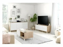 Loungitude Mueble de TV Urban Plus