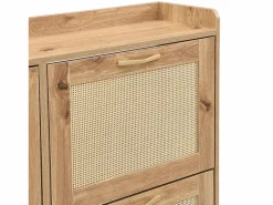 ModernLuxe Mueble para zapatos moderno - con puertas de ratán - 4 puertas - estructura metálica - color natural