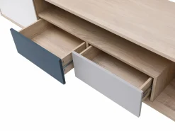 Mueble TV con 1 puerta, 2 cajones y 1 estante - Multicolor - FILUTIA Mueble Tv