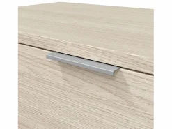 Mueble zapatero de 3 puertas abatibles - L60 cm Zapatero|Mueble De Almacenaje