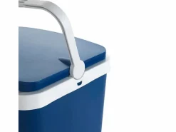 Discount Nevera portátil Campos 24L 39,5x36,6x29,5 cm Barbacoa