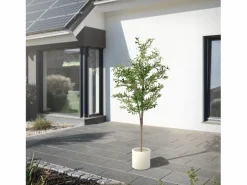Outlet Olivo artificial Plantas artificiales Árbol artificial Planta artificial en mace Planta Artificial