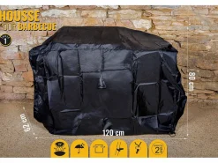 Somagic Pack Raymond -