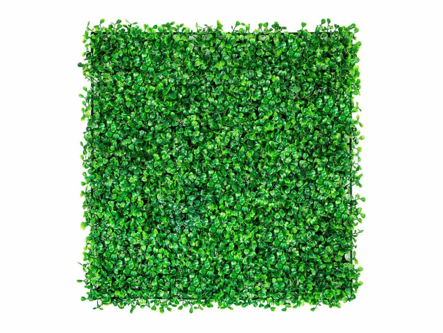 Paneles de Buxus Artificiales SucceBuy 50.8x50.8 cm 6 Piezas, Seto de Buxus para Valla Decorativa UV
