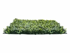 Paneles de Césped Artificial, SucceBuy, Paneles de Pared de Césped Artificial de 100 × 300 cm, Milán, Vegetación para Decoración Íntima