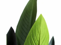 Outlet NORTENE Planta artificial ave del paraiso flor 185 cm 185 CM Verde