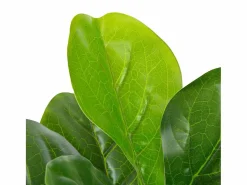 Best Planta Artificial con Maceta Hojas de Higuera 90 cm Verde