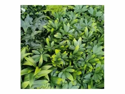 Outlet Planta artificial de pared - Modelo de flor blanca - Dimensiones : 100 x 100 cm Panel Plantas Artificiales|Panel Plantas Artificiales