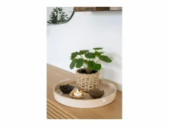 House Nordic Planta artificial Pilea Planta china del dinero verde 28 cm