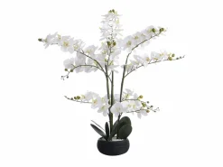 OZAIA Planta, flor artificial orquídea - Alt. 65 x Ancho 54 cm- Blanco -TARA