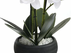 OZAIA Planta, flor artificial orquídea - Alt. 65 x Ancho 54 cm- Blanco -TARA